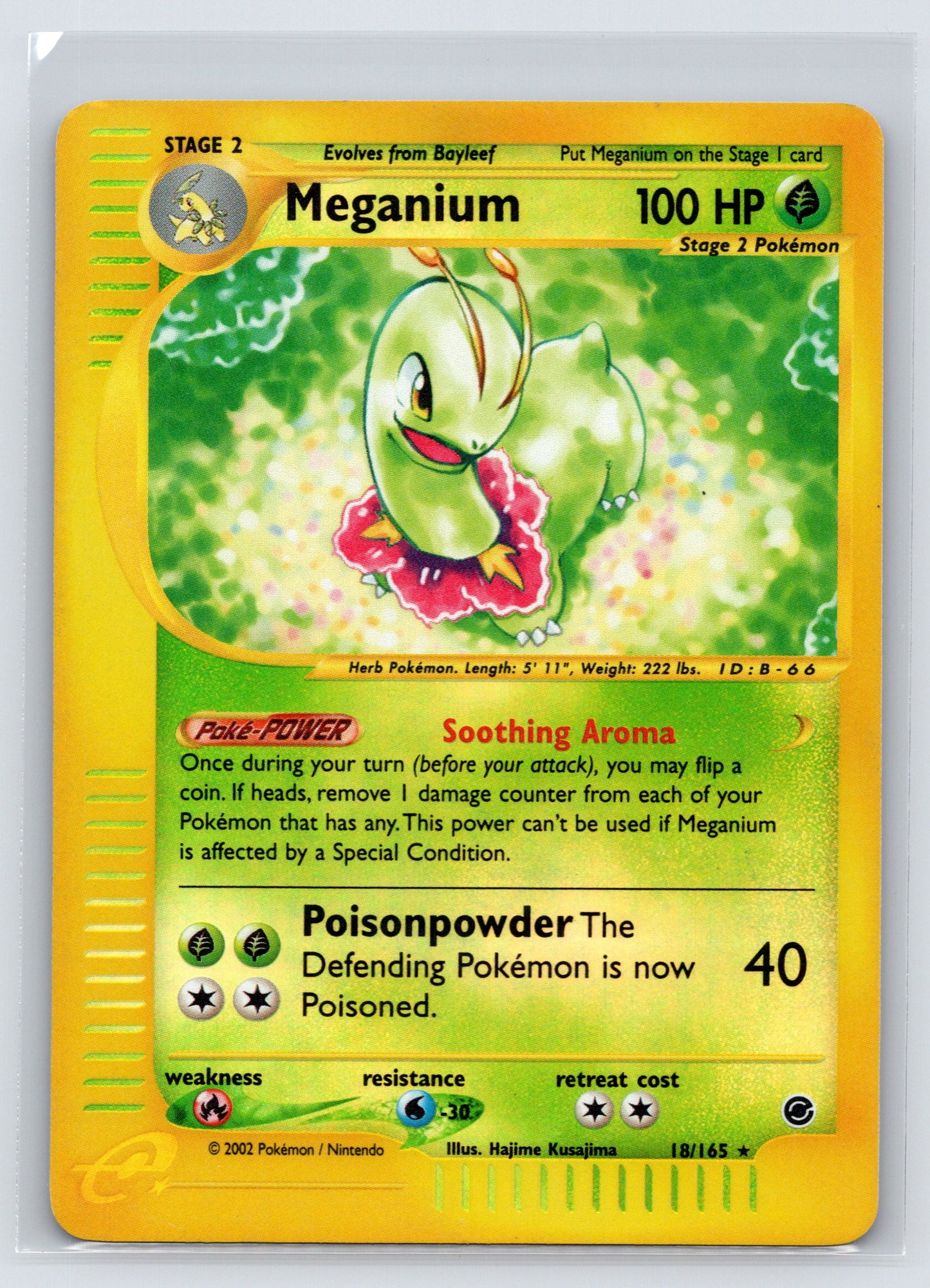 Meganium (18) - #018/165 - Expedition