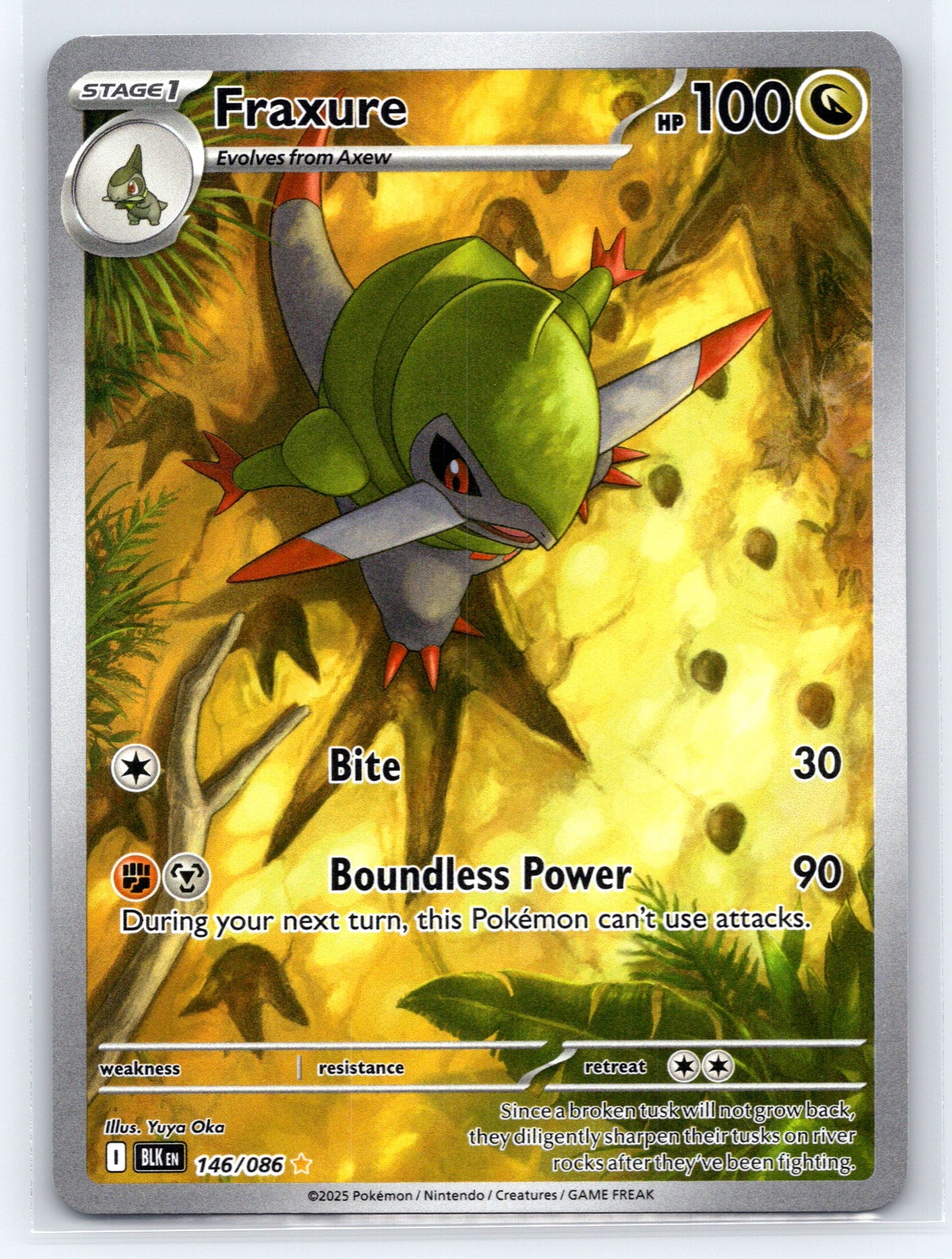 Fraxure - #146/086 - SV: Black Bolt