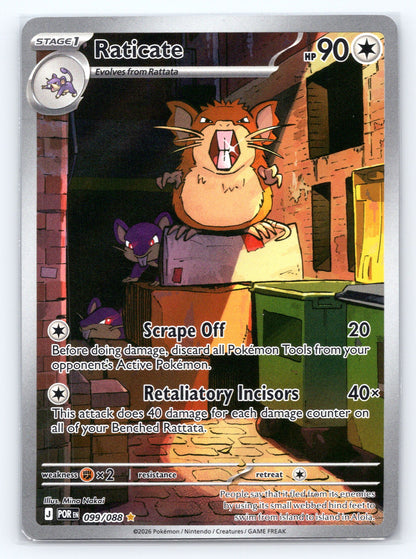 Raticate - #099/088 - ME03: Perfect Order