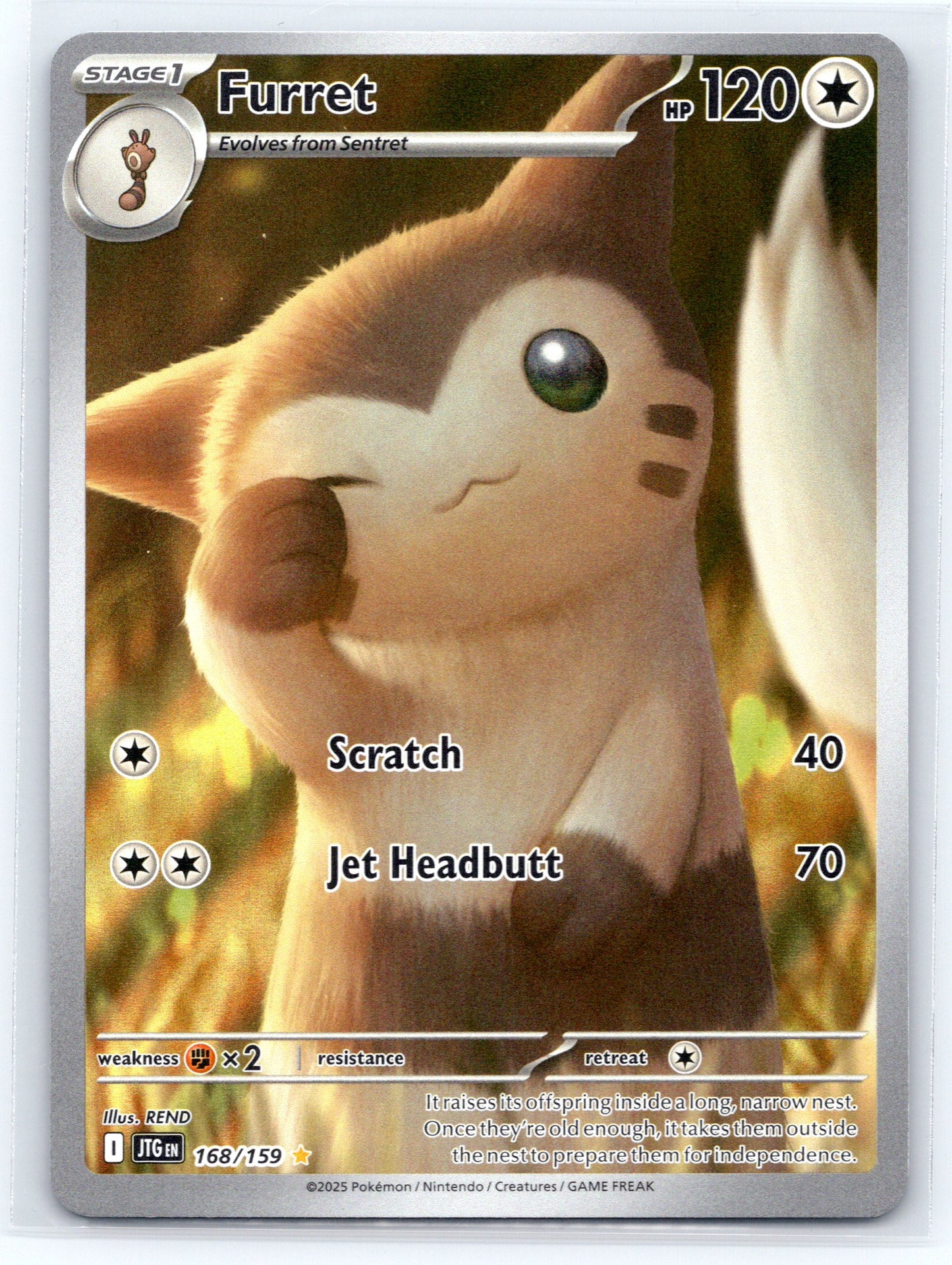 Furret - #168/159 - SV09: Journey Together
