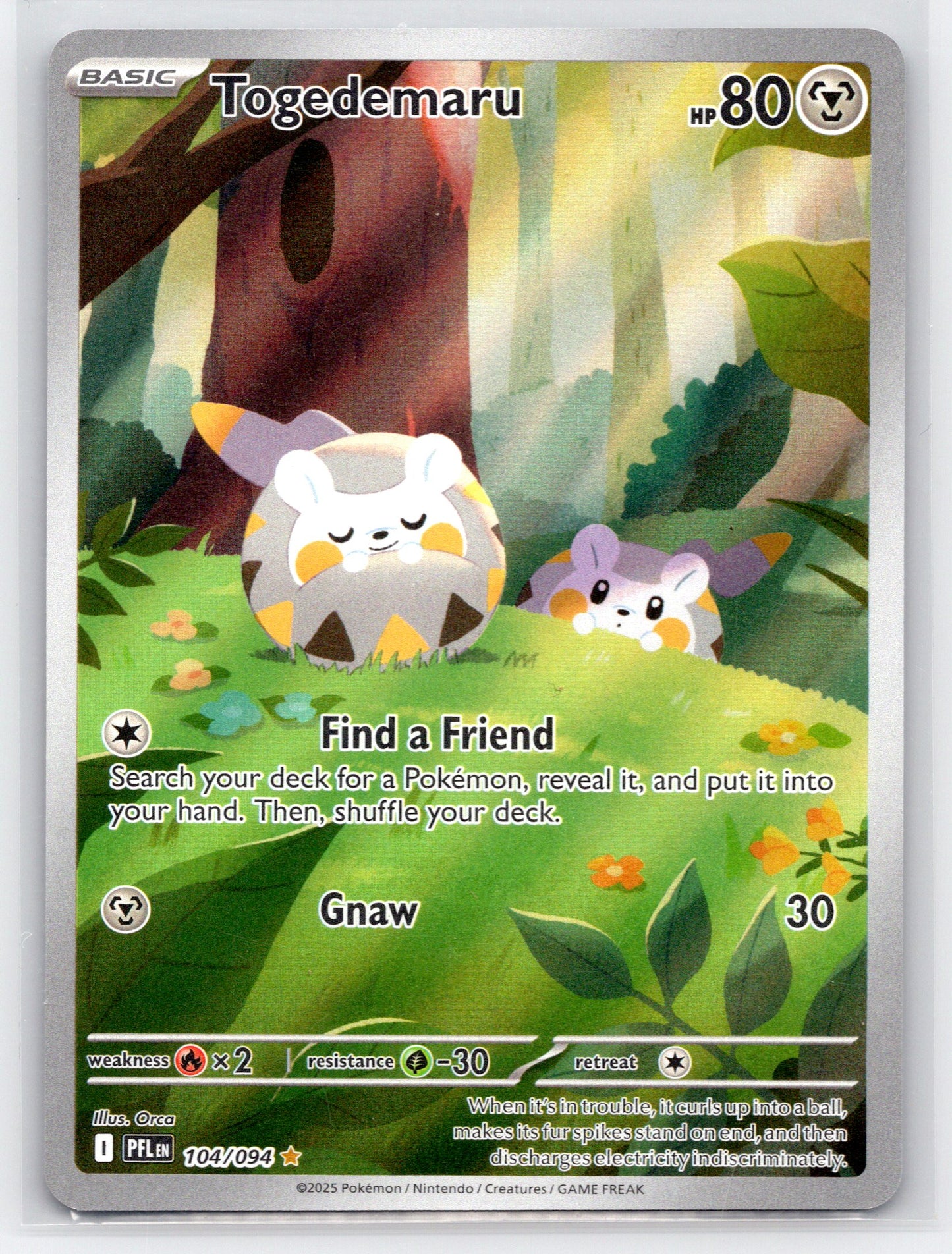 Togedemaru - #104/094 - ME02: Phantasmal Flames