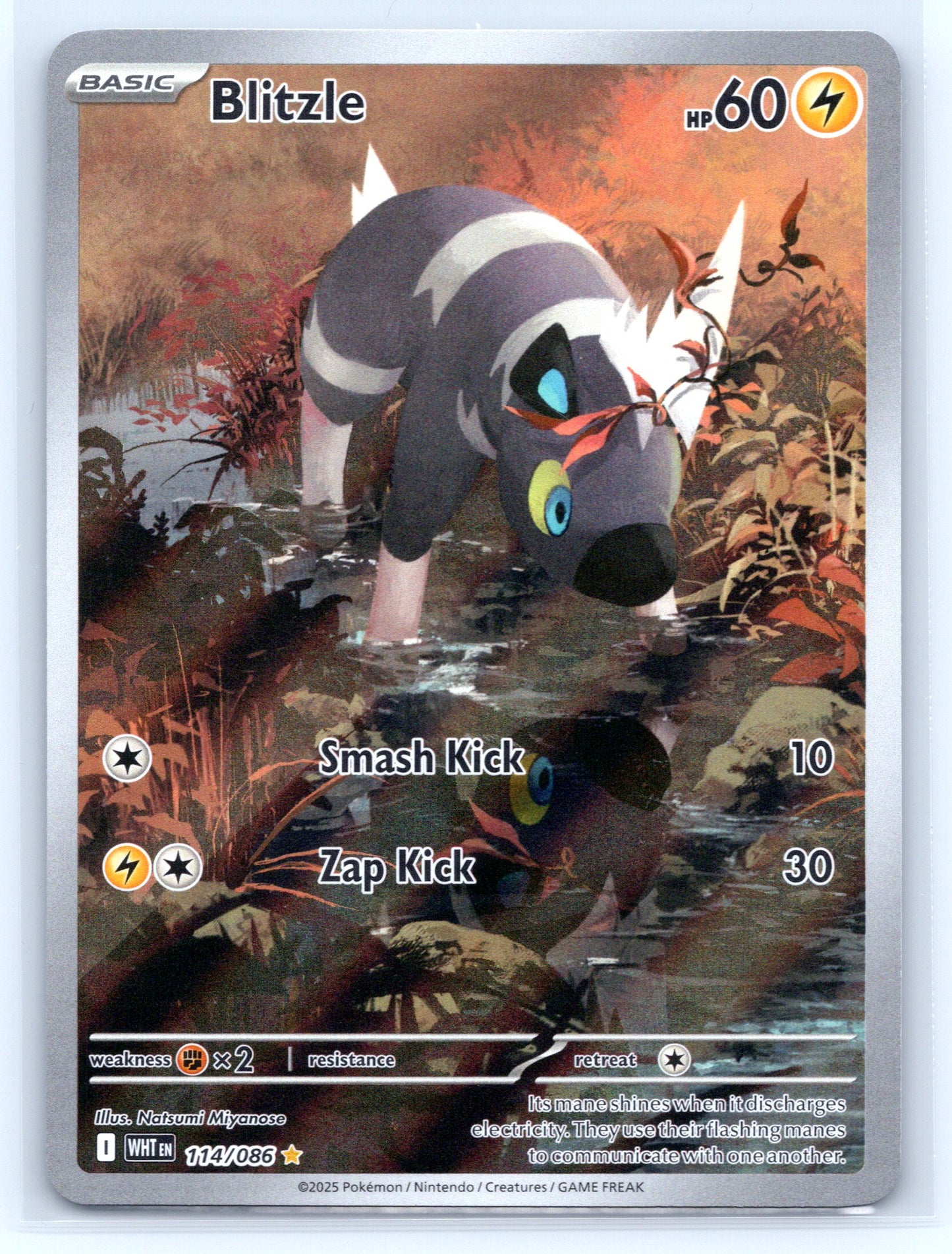 Blitzle - #114/086 - SV: White Flare