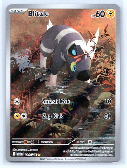Blitzle - #114/086 - SV: White Flare