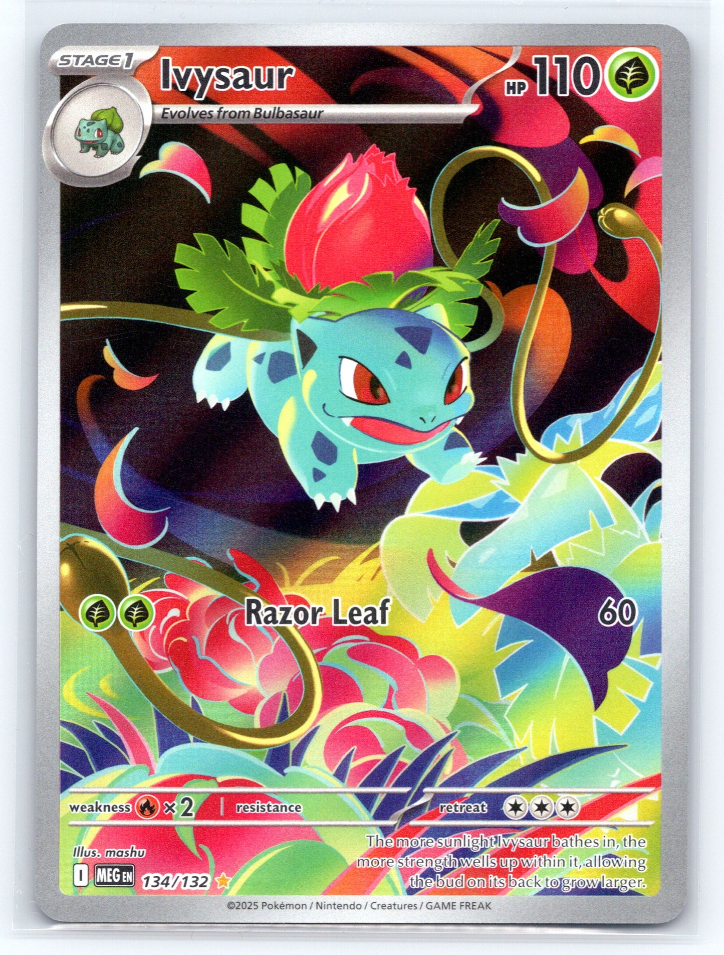 Ivysaur - #134/132 - ME01: Mega Evolution