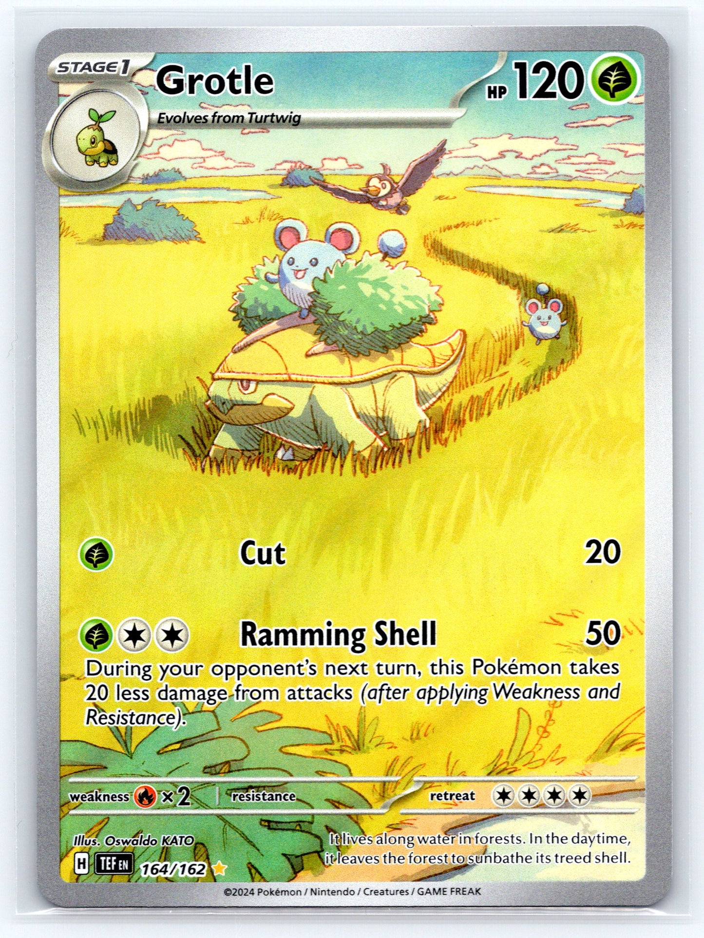 Grotle - #164/162 - SV05: Temporal Forces