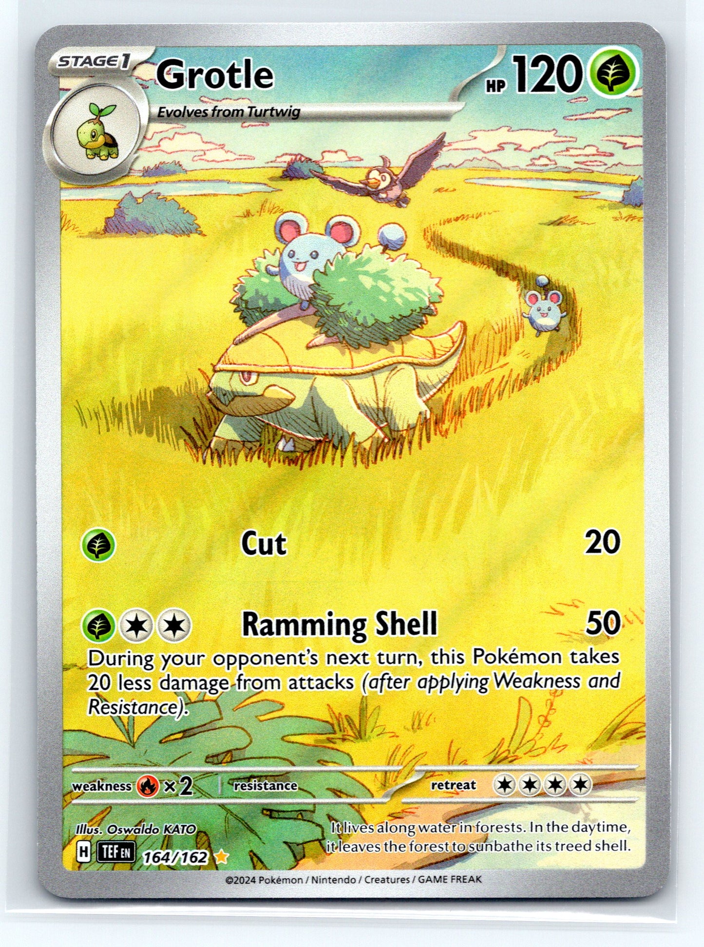 Grotle - #164/162 - SV05: Temporal Forces