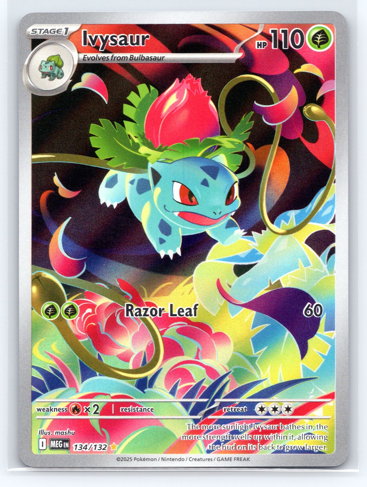 Ivysaur - #134/132 - ME01: Mega Evolution