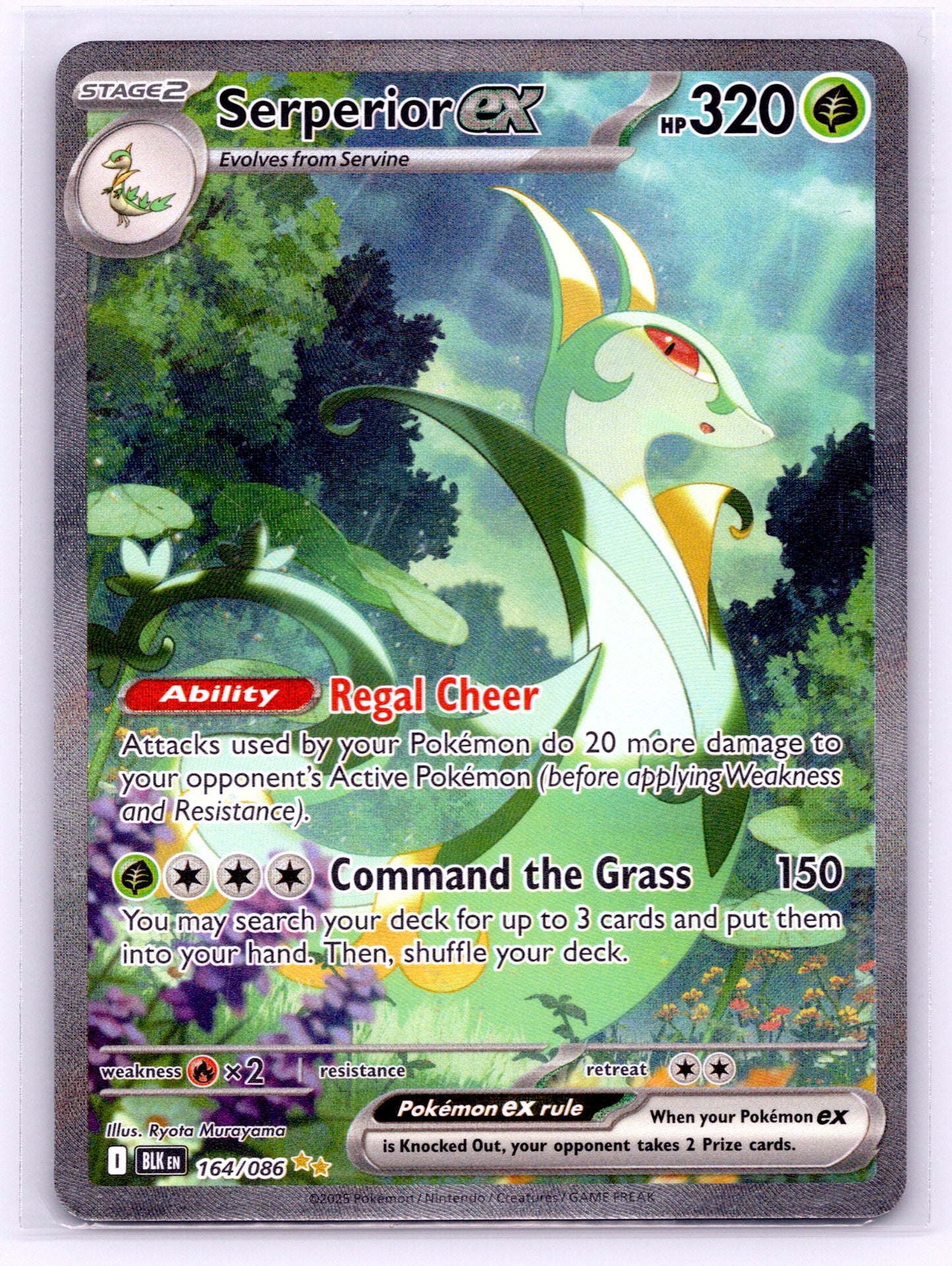 Serperior ex - #164/086 - SV: Black Bolt
