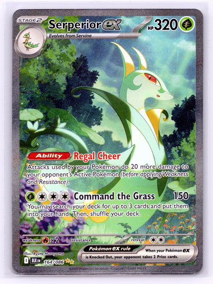 Serperior ex - #164/086 - SV: Black Bolt