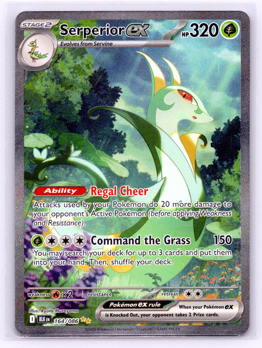 Serperior ex - #164/086 - SV: Black Bolt