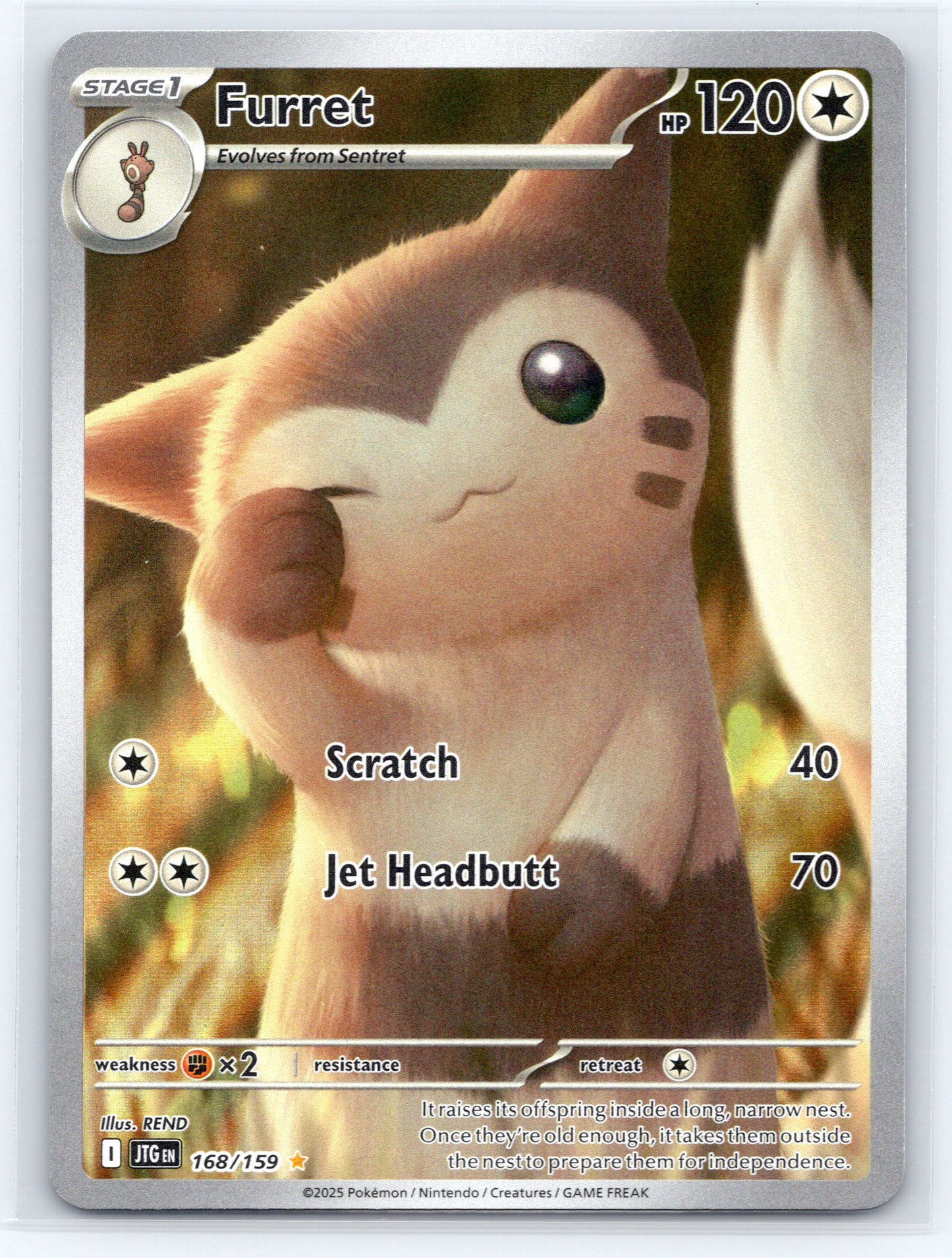 Furret - #168/159 - SV09: Journey Together
