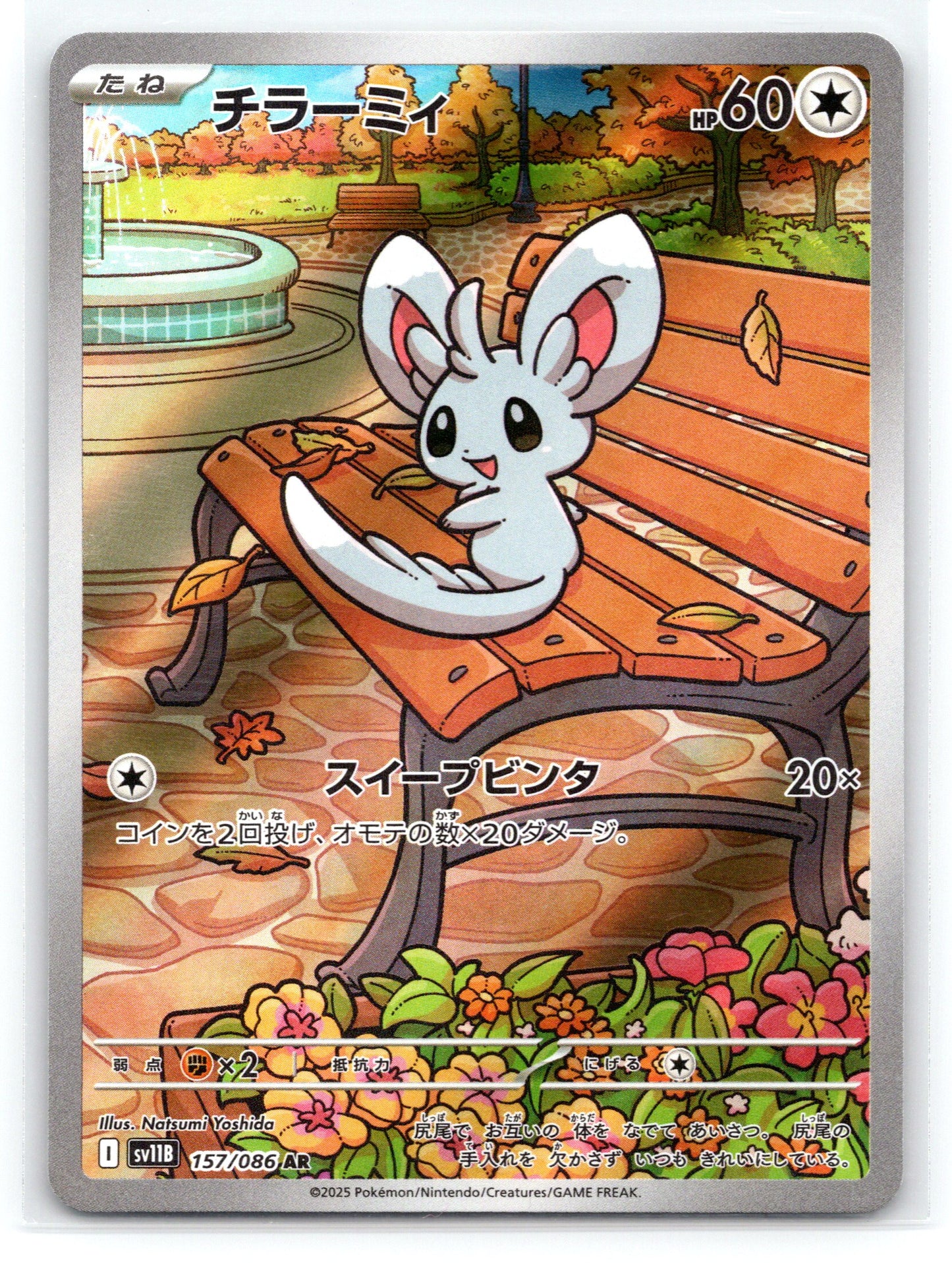 Minccino - #157/086 - SV11B: Black Bolt