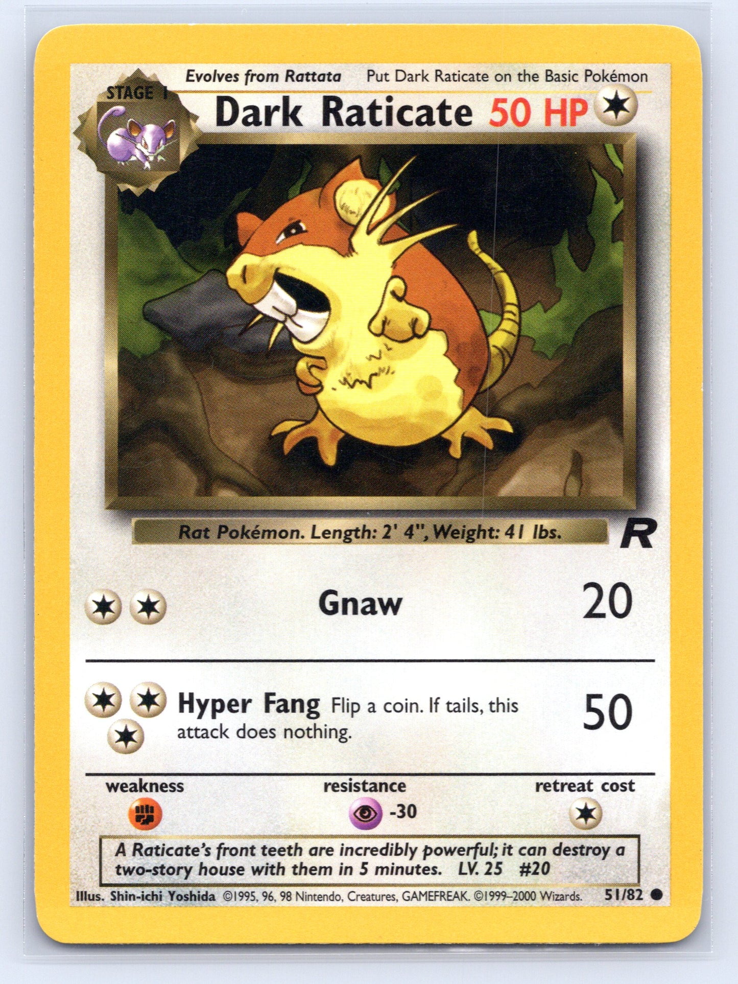 Dark Raticate - #51/82 - Team Rocket