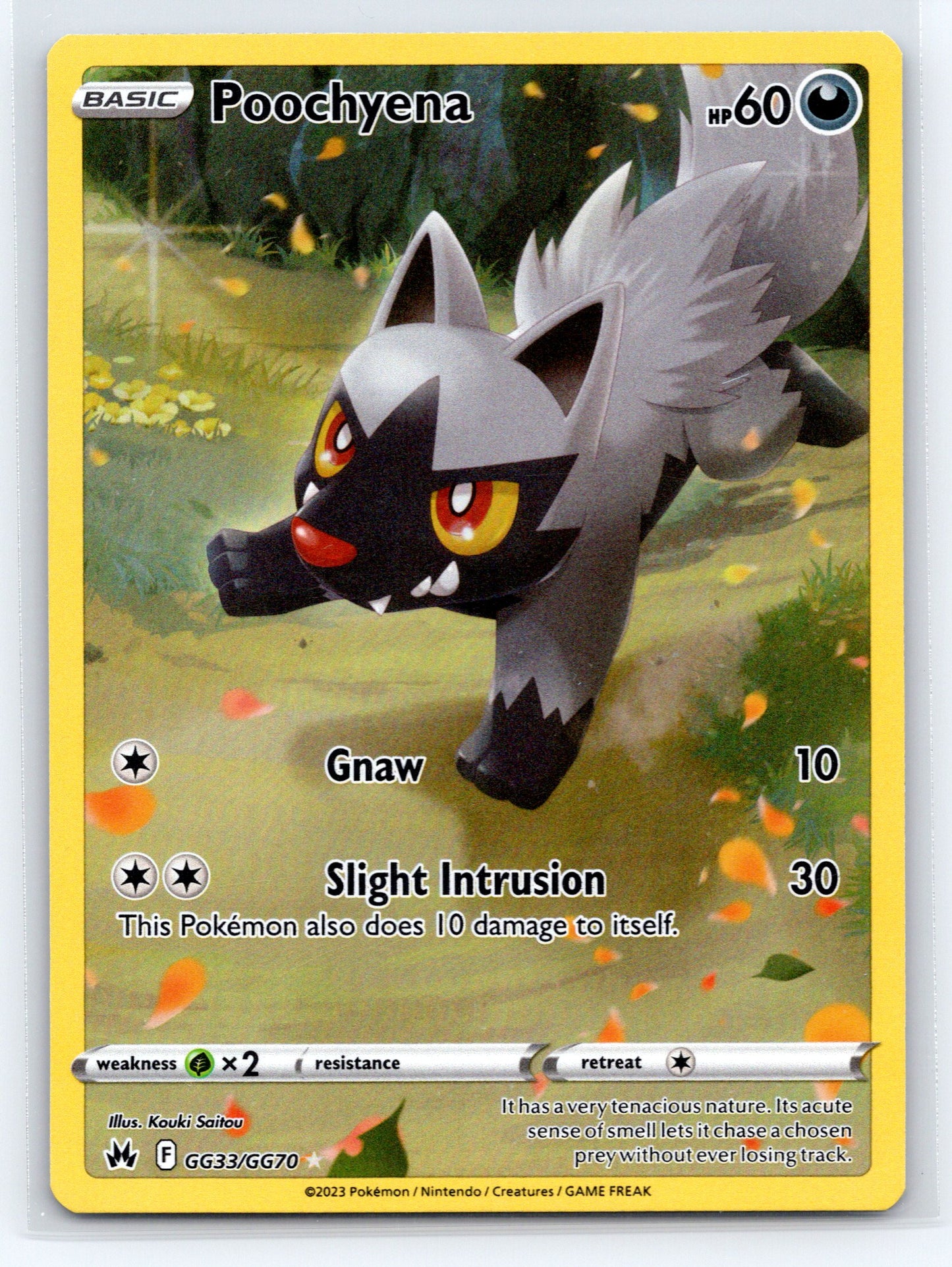 Poochyena - #GG33/GG70 - SWSH: Crown Zenith: Galarian Gallery