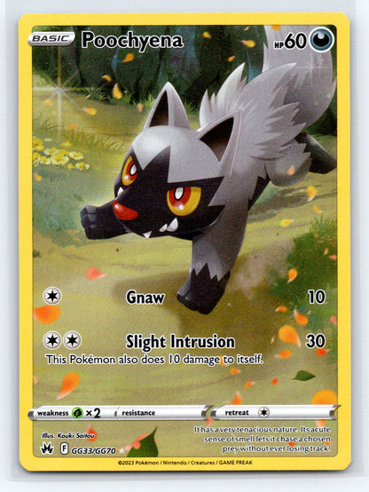 Poochyena - #GG33/GG70 - SWSH: Crown Zenith: Galarian Gallery