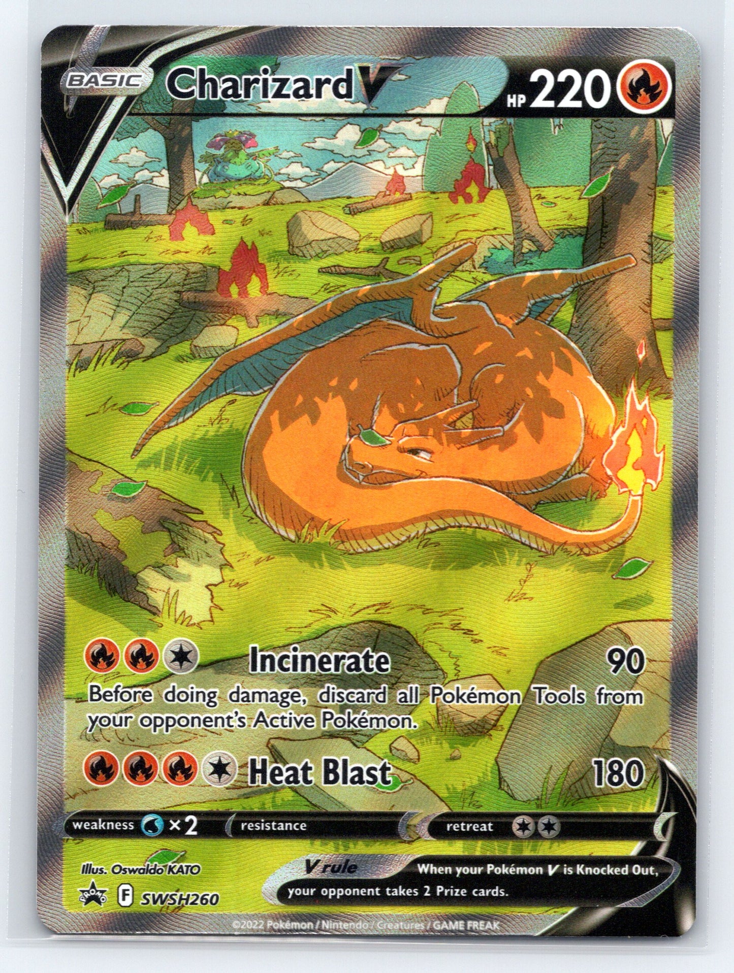 Charizard V - #SWSH260 - SWSH: Sword & Shield Promo Cards